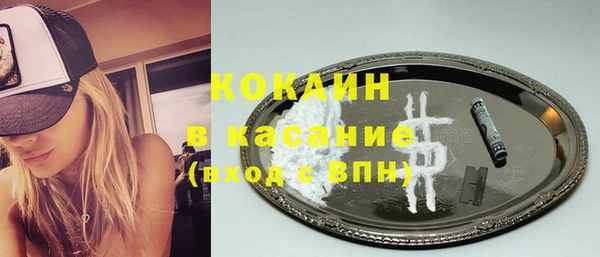 шишки Богородицк