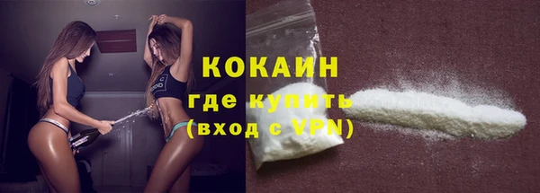 шишки Богородицк