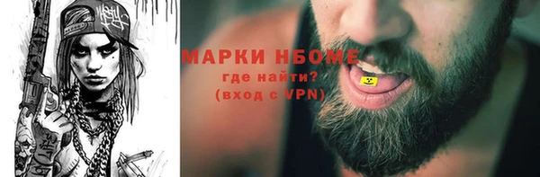 шишки Богородицк