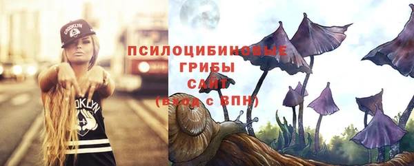 mdpv Богданович
