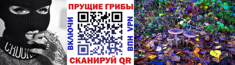 цена   Оха  Псилоцибиновые грибы MAGIC MUSHROOMS 